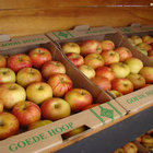 Fresh Produce from Farm Stalls